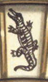 Crocodile (caiman)