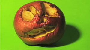Its Not Scary It Decayed