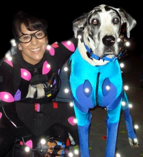 Daisy the dog