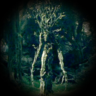 Ent