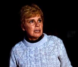 pamela voorhees headhunter s horror house wiki fandom powered by