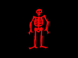 Skeleton
