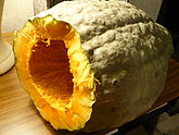 165px-Bluehubbardsquash