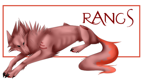 Rangs