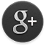 45px-Google icon