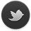 45px-Twitter icon