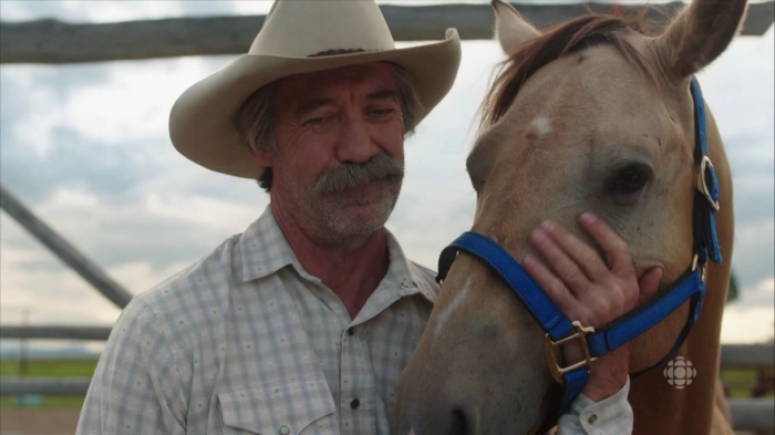 buddy heartland wiki fandom buddy heartland wiki fandom