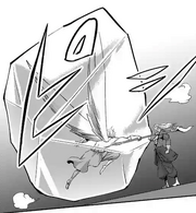 Shin Speed