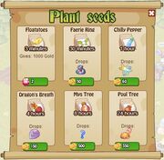 Plant Seeds