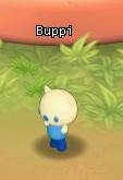 HKO NPC Buppi50