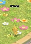 HKO NPC Scone58