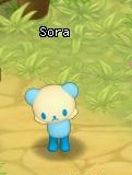 HKO NPC Sora59