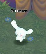 HKO NPC Cinnamon70
