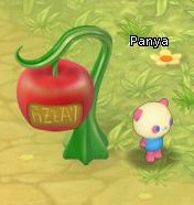 HKO NPC Panya37