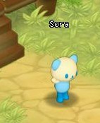 HKO NPC Sora02