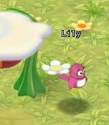 HKO NPC Lily34