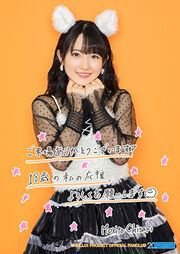 Sexycatnochisaki18thbirthdayenzetsu