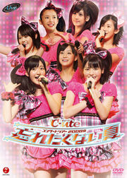 C-uteSummer