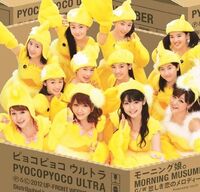 PPUREGULAR