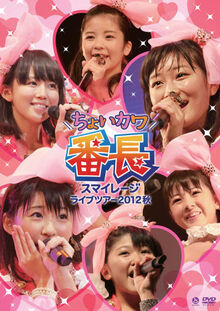 Smileage2012AkiDVD