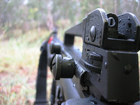 Rear Sight