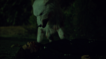 wikia hemlock grove