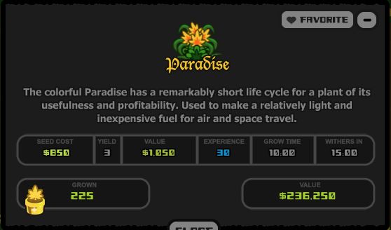 Paradise Info