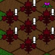 Tri Berry