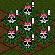 Bone Seed