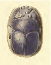 Scarab