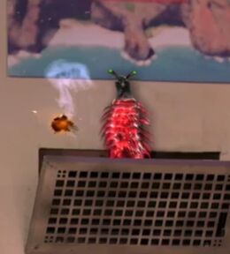 Space Bug
