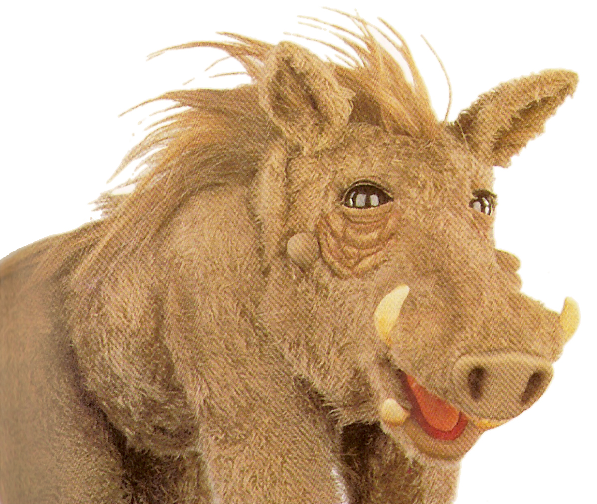 Warthog | Henson Alternative Wiki | FANDOM powered by Wikia