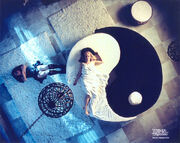 Paradisefound yingandyang