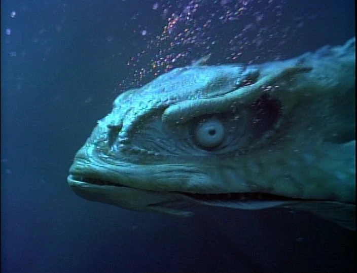 Blue Serpent Legendary Journeys FANDOM powered by Wikia