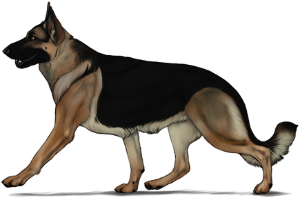 German Shepherd | Herding Dog Farms Game Wikia | FANDOM powered by Wikia