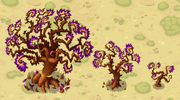 Mama and Baby Creep Trees