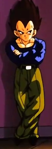 Vegeta traje 10