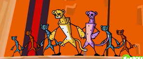 Cheetahs