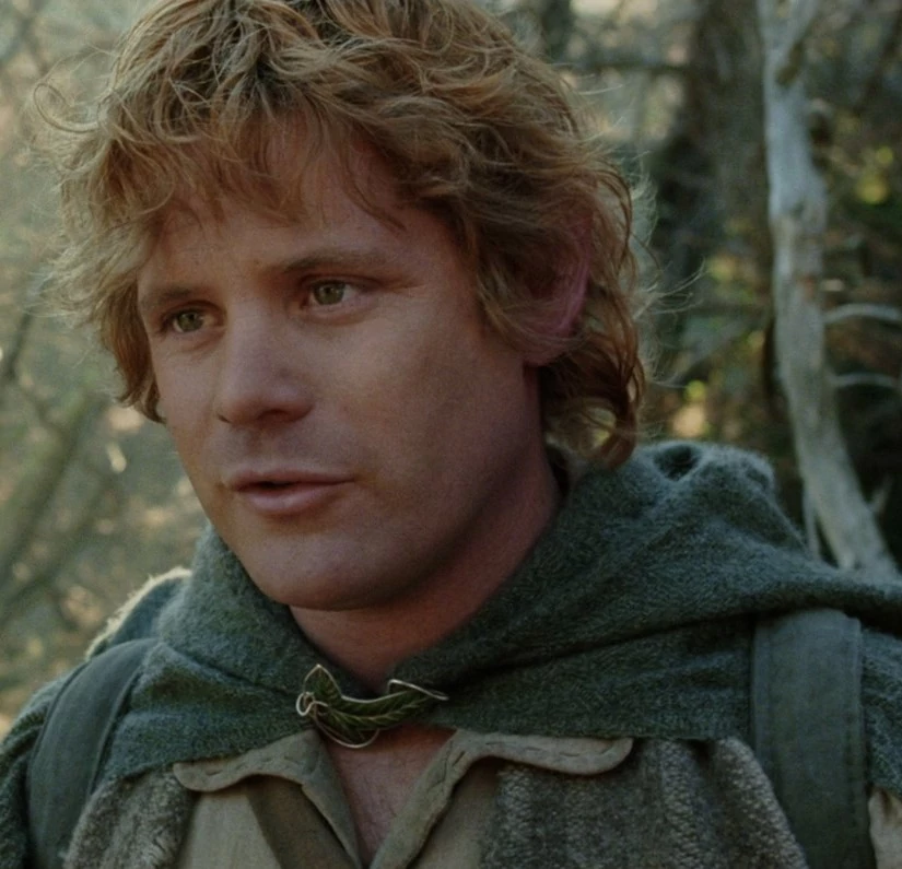 Sam Gamgee Heroes and Villains Wiki Fandom