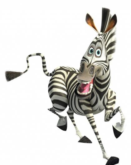 marty the zebra marty the zebra