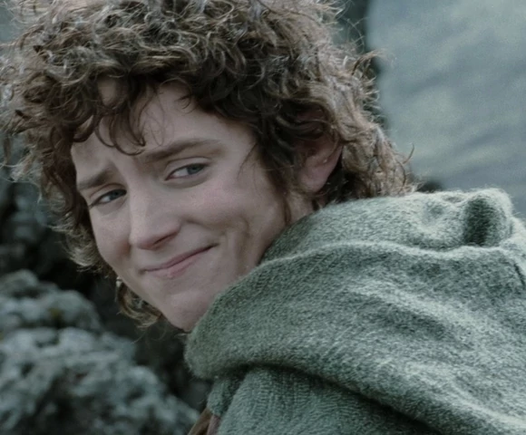who played frodo baggins