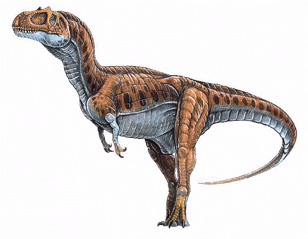File:Eustreptospondylus.gif