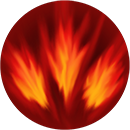 Skill 06