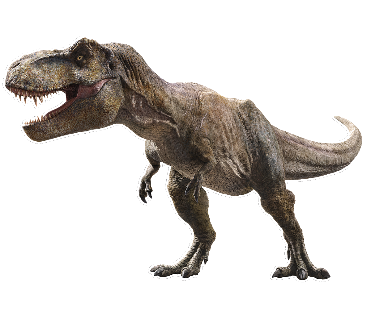  Tyrannosaurus rex  Heroes of the characters Wiki Fandom