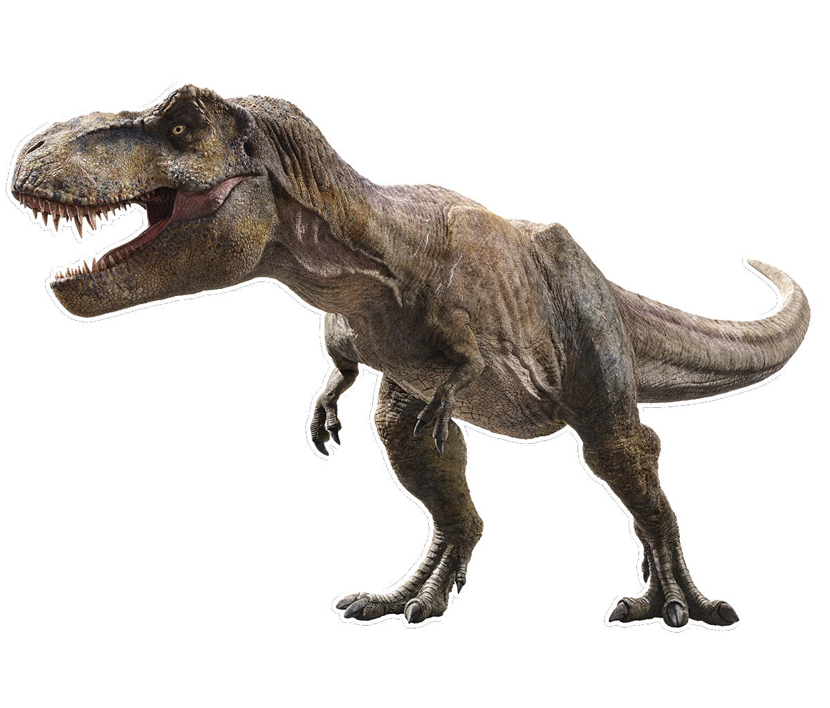 3 headed t rex