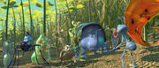 Circus Bugs