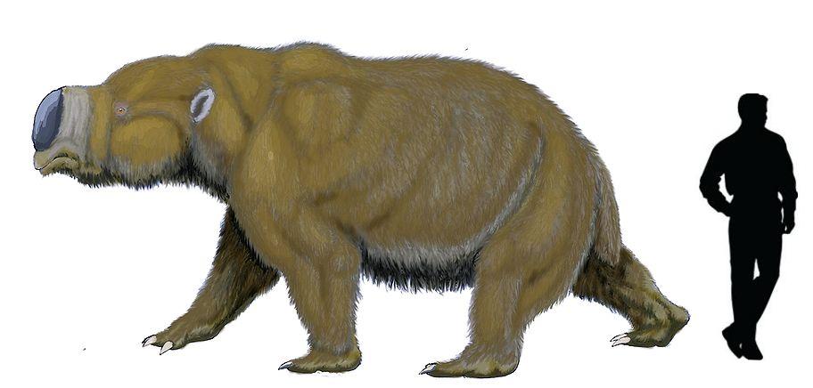 Dw: Diprotodon 