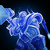 Icon Divine Protection