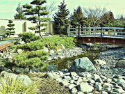 TsukasaPond