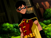 Teen Robin